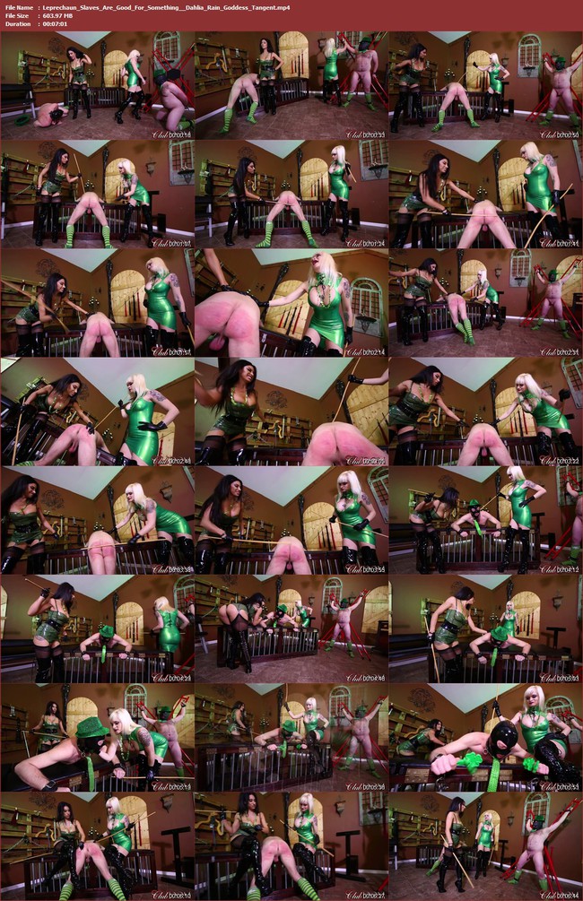 [Image: Leprechaun_Slaves_Are_Good_For_Something_Dahlia.jpg]